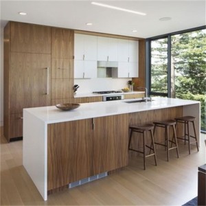 Contemporary Simple High Quality Wood Veneer Kitchen Cabinet
